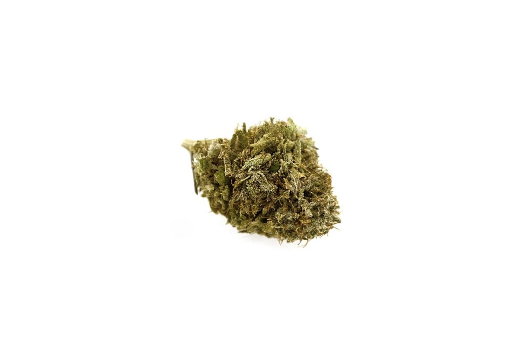 marijuana, cannabis, bud-2690982.jpg